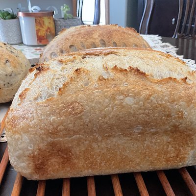 Country(Whole Wheat Blend) Sourdough Loaf