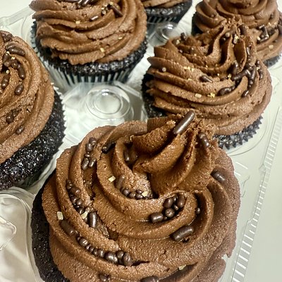 Chocolate Chocolate Cupcakes (6ct)