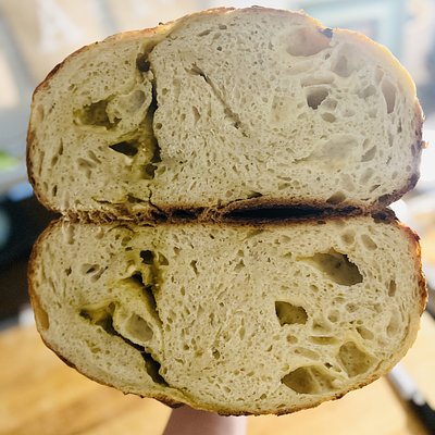 Pesto Mozzarella 