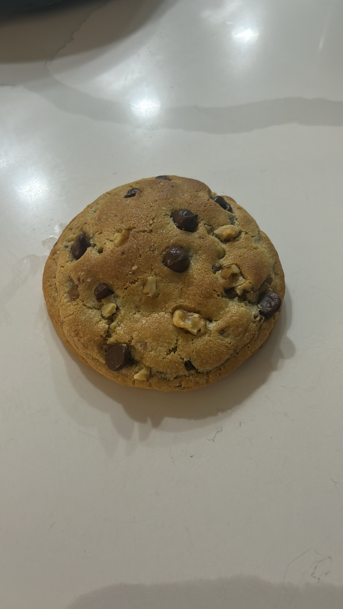 Levine Cookie