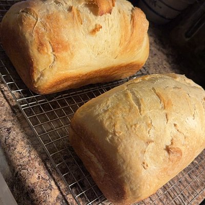 Sourdough Sandwich Loaf