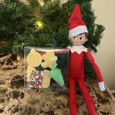 Mini DIY Elf Cookie Kits