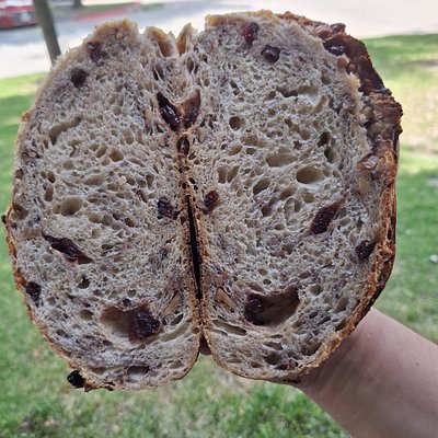 Walnut and Cranberry Sourdough Bread