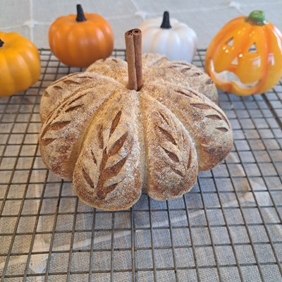 Mini Pumpkin Sourdough Loaves 