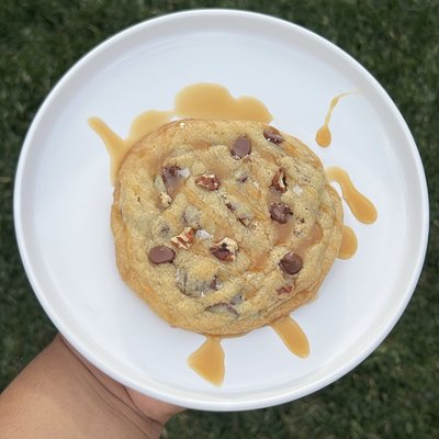 Turtle Cookie