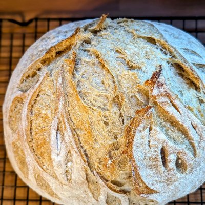 Country Wheat Sourdough 