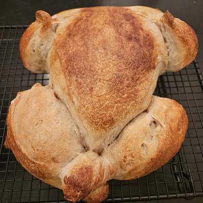 Sourdough Turkey Shaped Bread