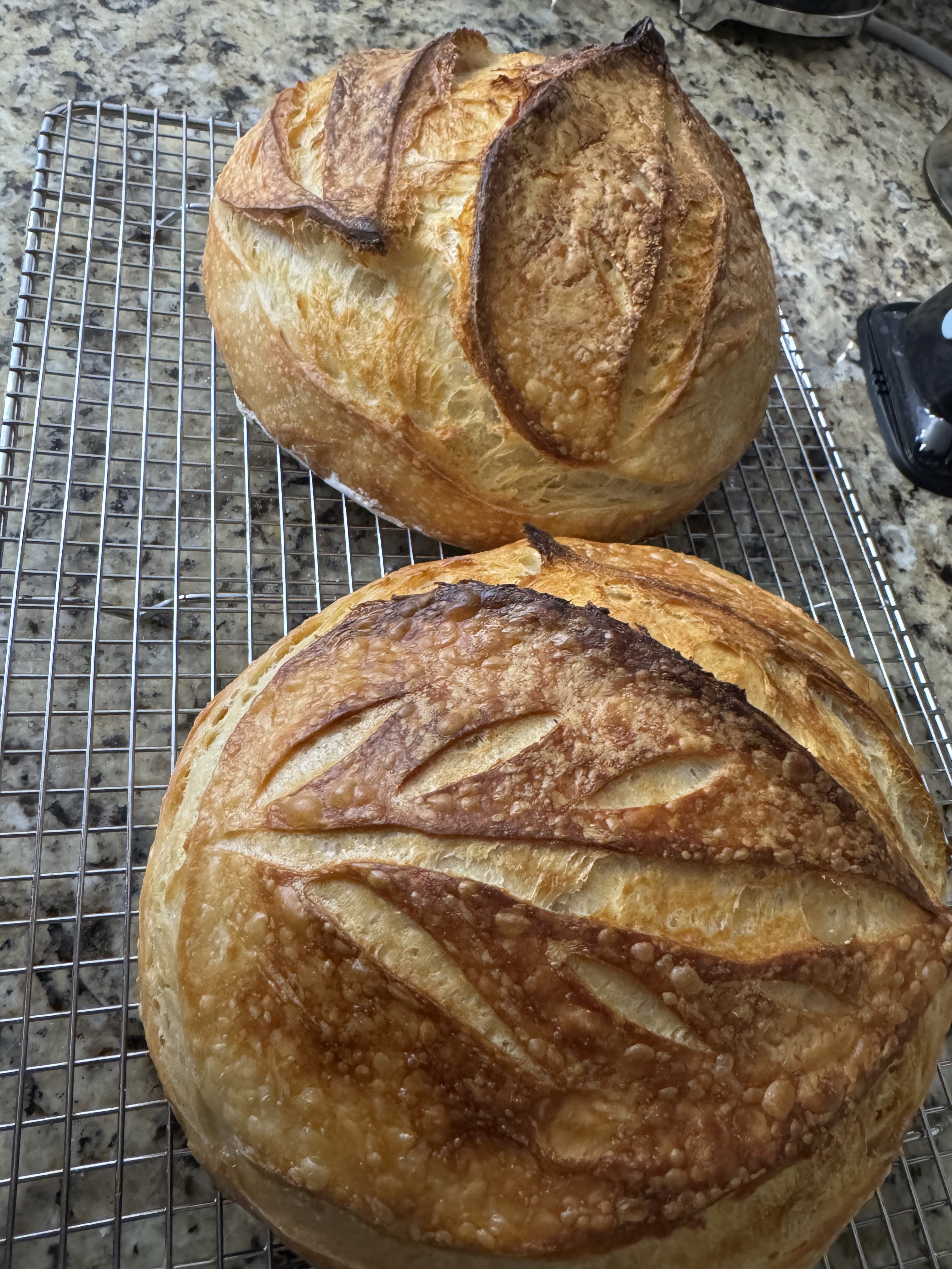 Classic Organic Sourdough Loaf