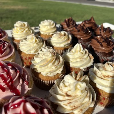 Gourmet Cupcakes (12)