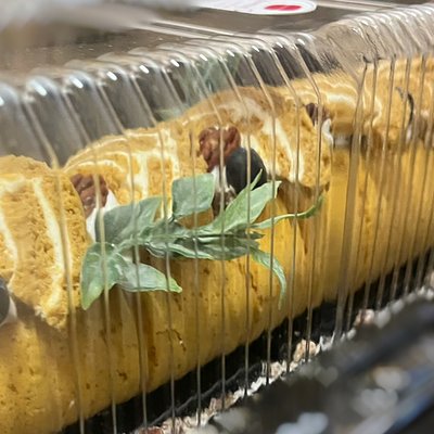 Keto Friendly Pumpkin Roll