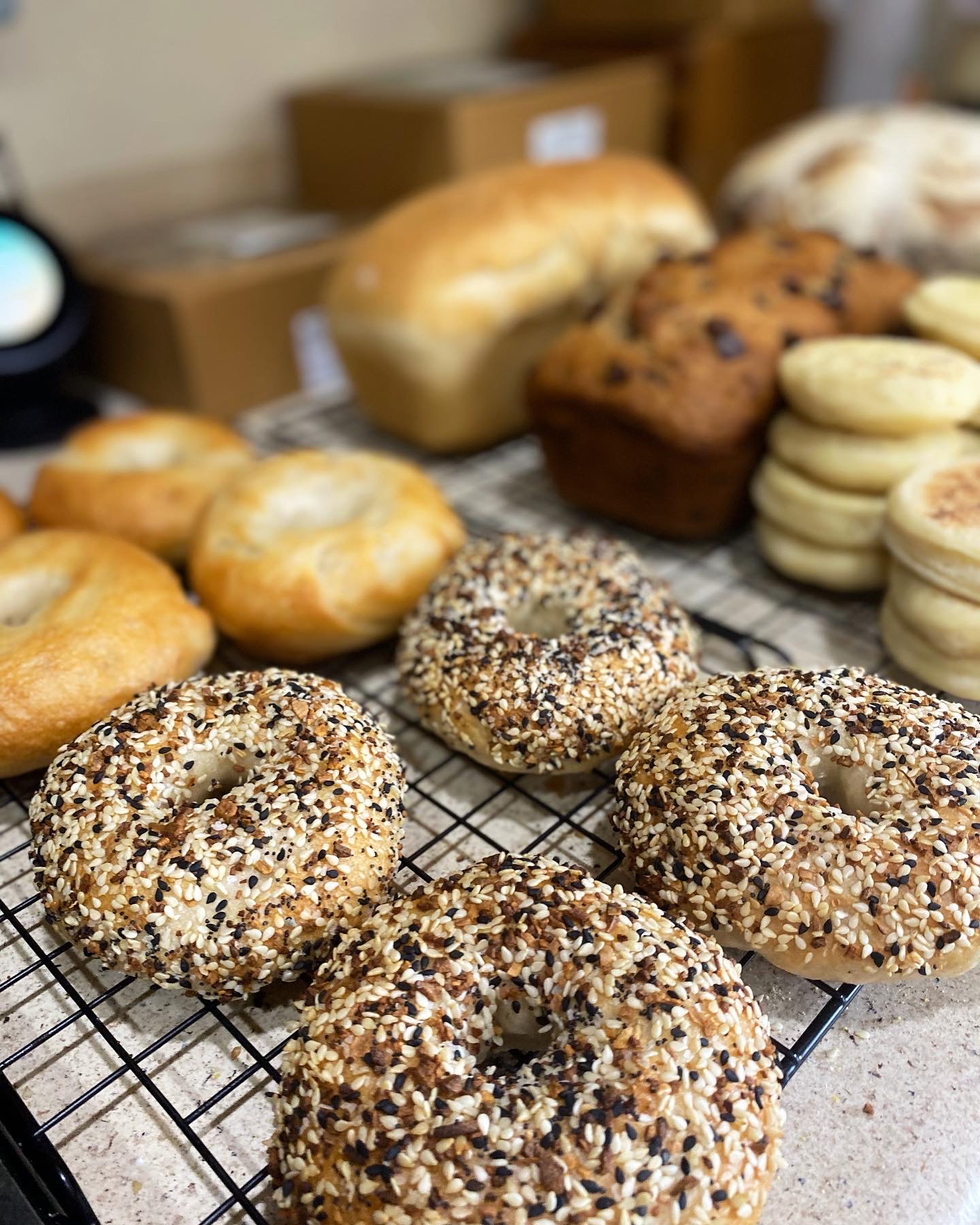 Plain Bagels