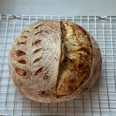 Cheddar Bay Sourdough Loaf 