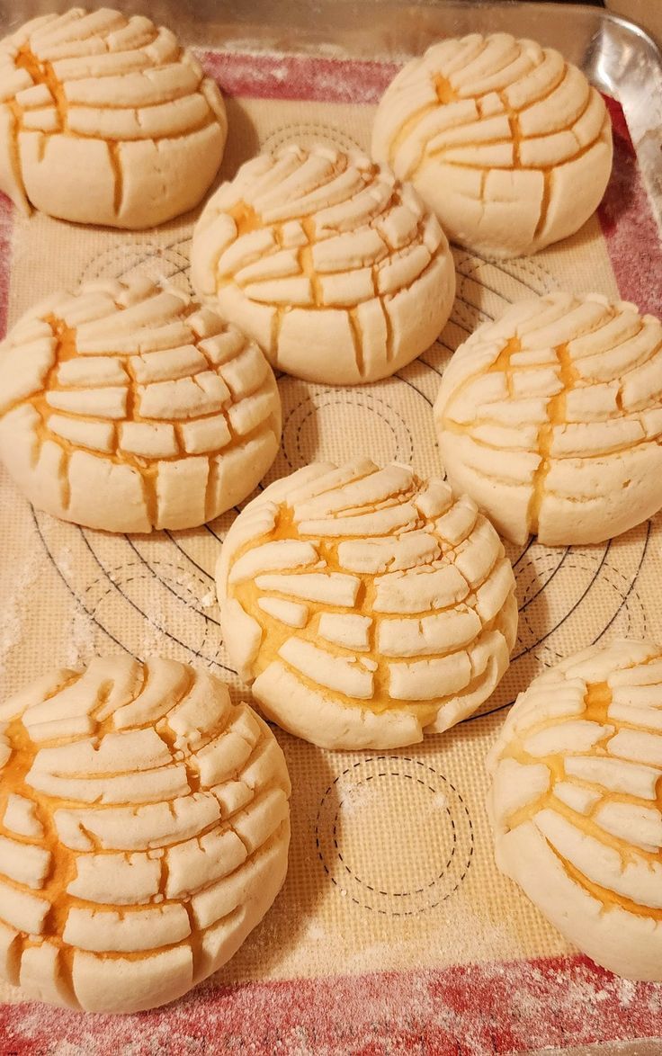 Conchas