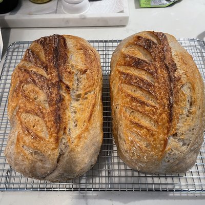 Rustic Batard Loaf