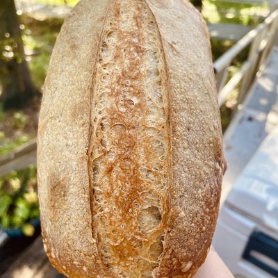 Original Sourdough