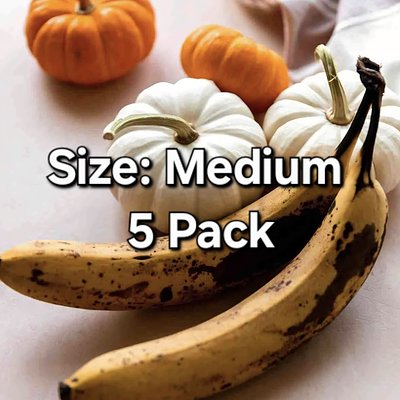 (Med. 5pk) aPEELing Pumpkin 🎃🍌