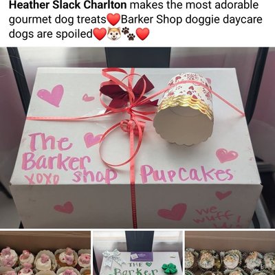🐾🐶 Pupcakes!  🐶🐾