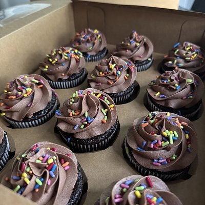 Double Chocolate Cupcakes