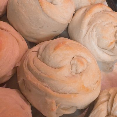 Sourdough Rolls 