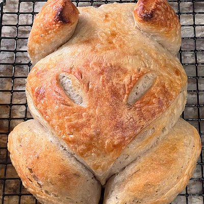 Sourdough Turkey loaf