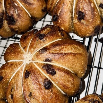 Pumpkin Chocolate Chip 