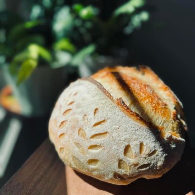 Basic Artisan Loaf