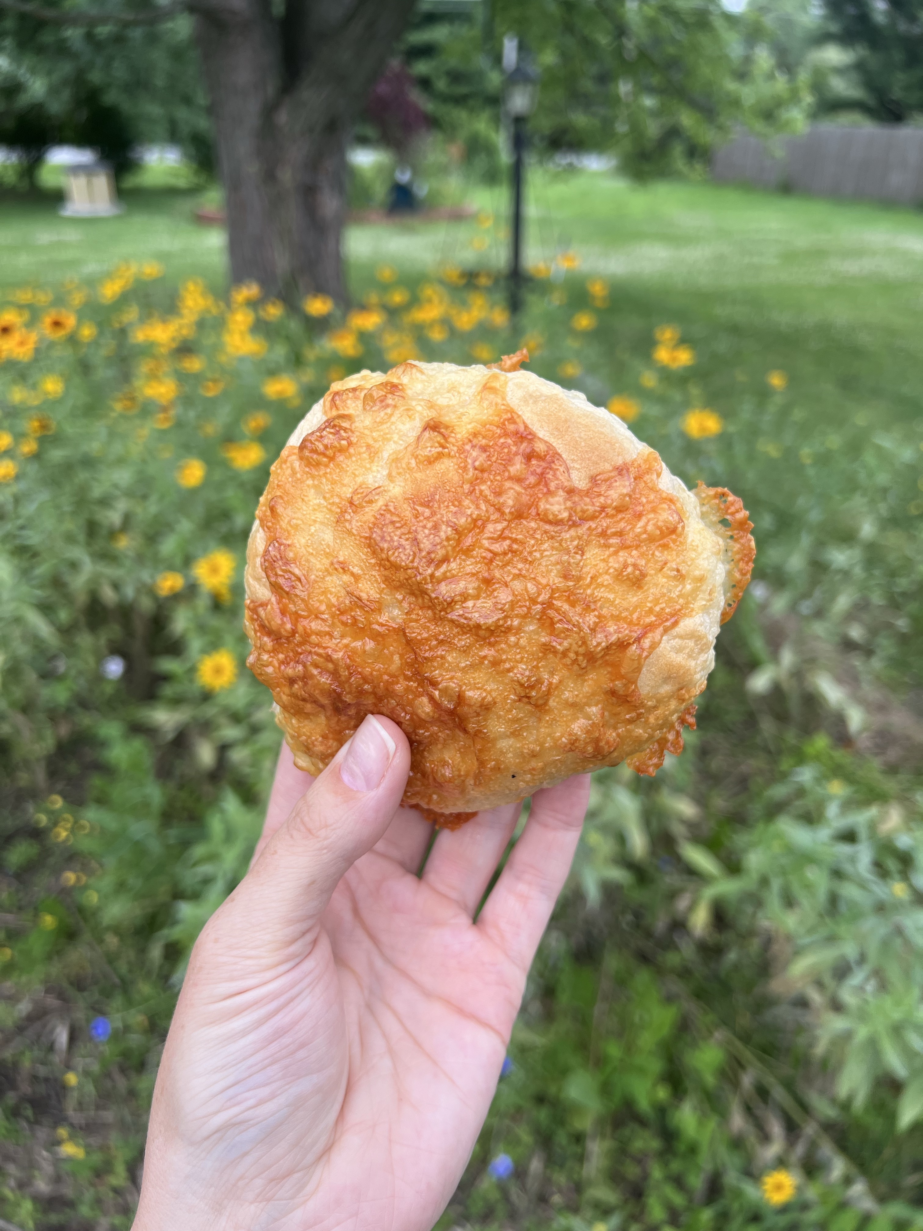 CHEDDAR Sourdough Bagels (6 bagels)