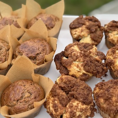 Sourdough Muffins