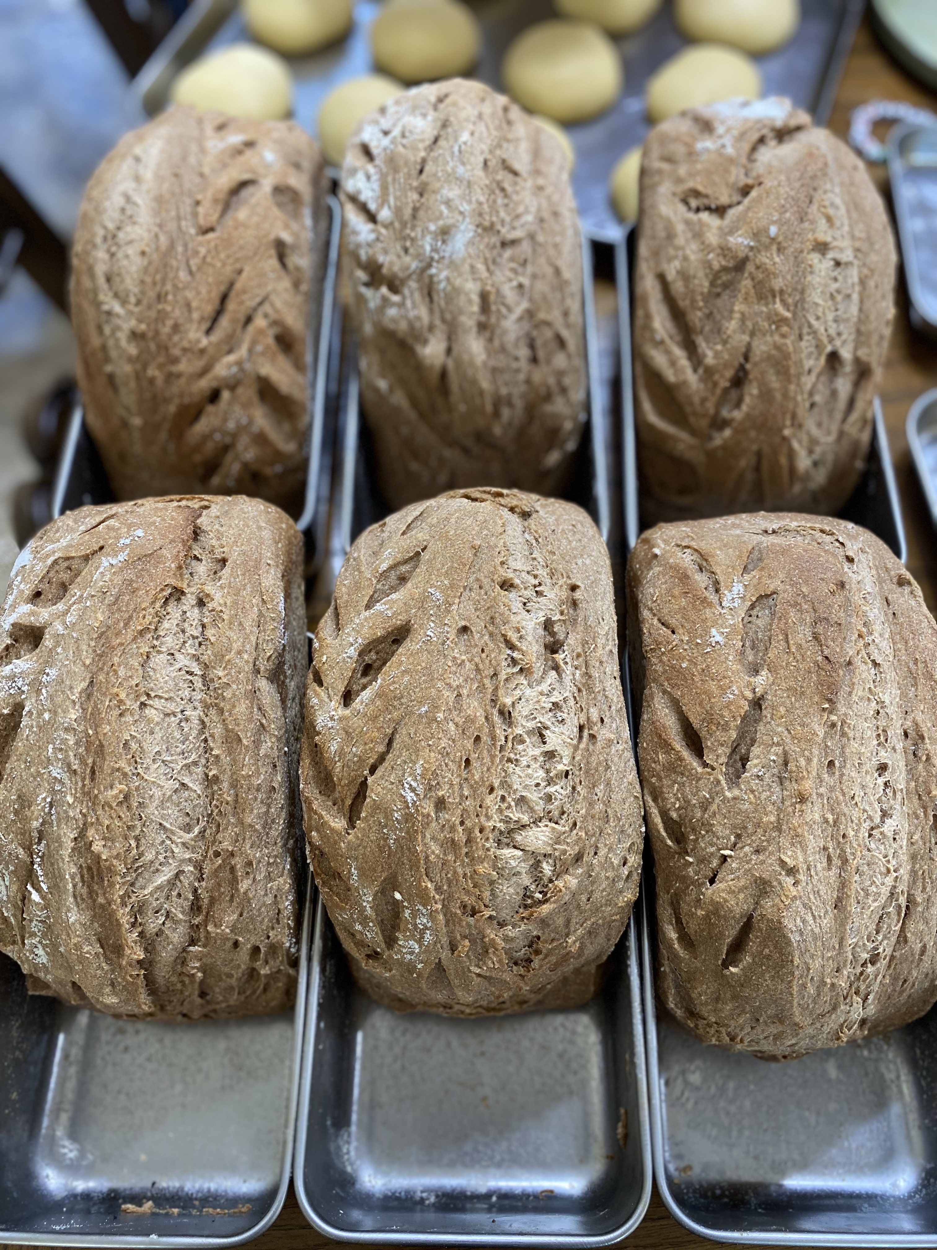 Sourdough Honey Whole Wheat Loaf 🍯 
