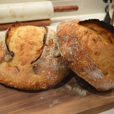 Plain Jane Sourdough Loaf 