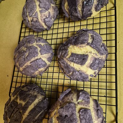 Sourdough Conchas (4 Pack)