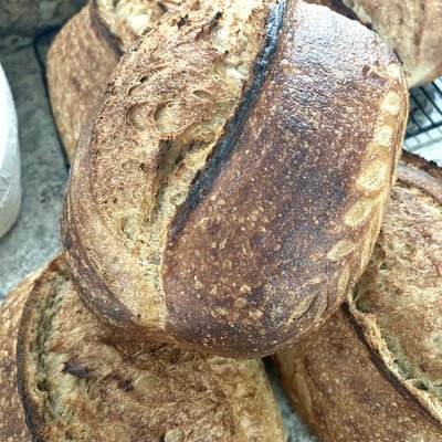 Sourdough 