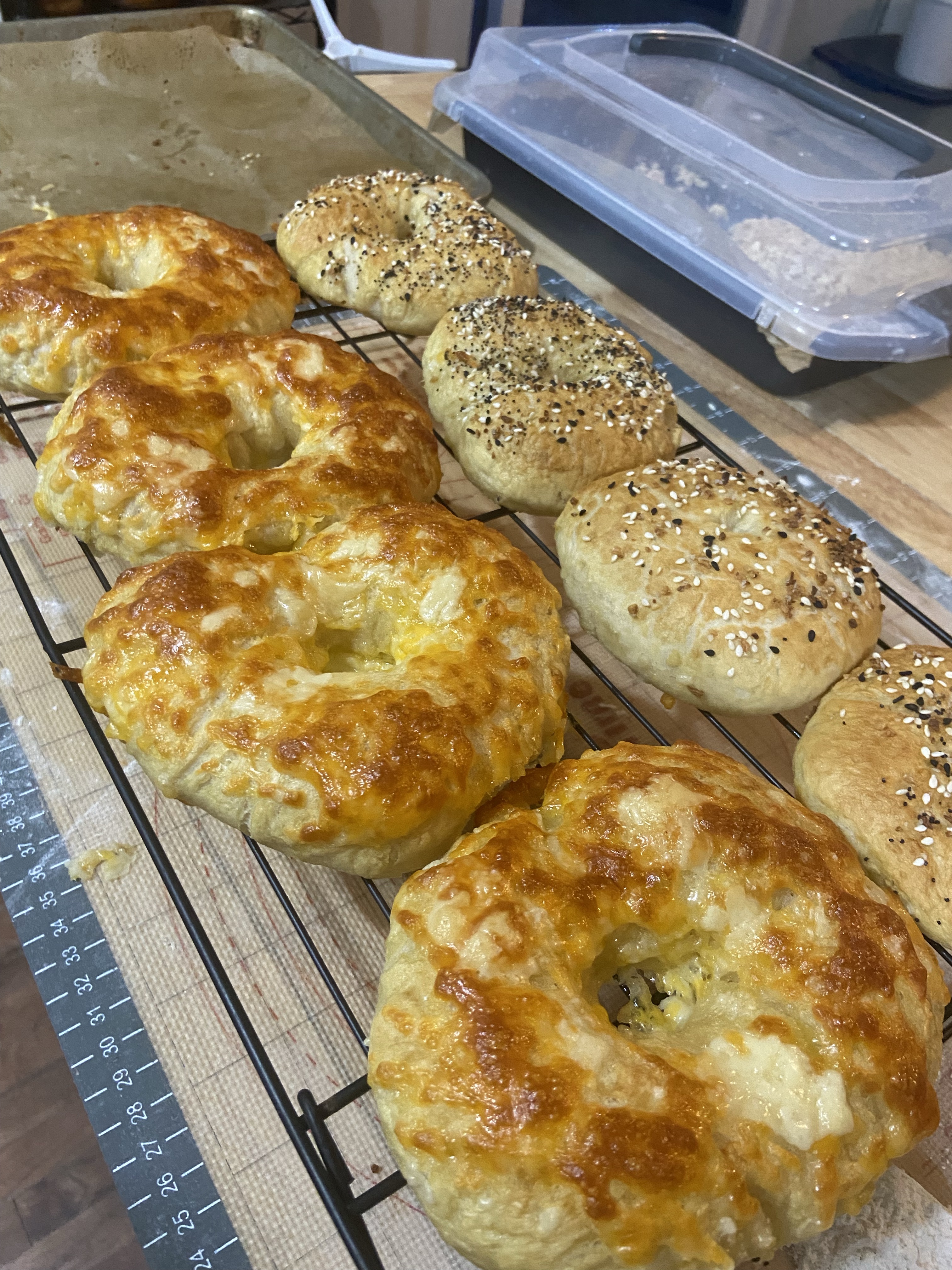 Bagels 6Pk