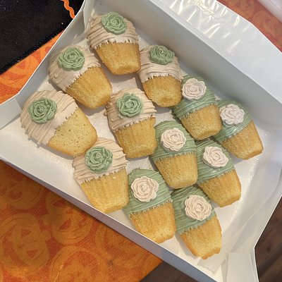 Dozen Madeleine Cookies 