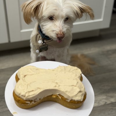 Pupcake