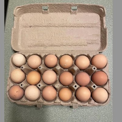 Washed-18 Pack Fresh Eggs