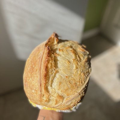 Sourdough Bread