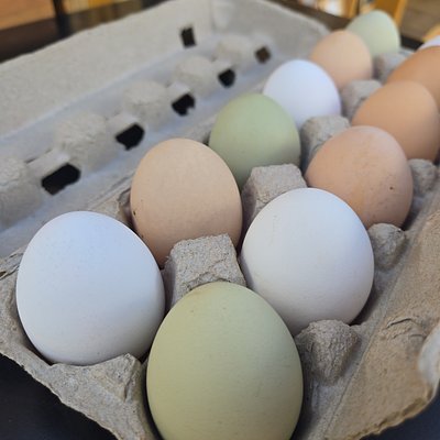 Dozen Rainbow Eggs