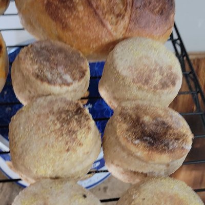 30% RED FIFE WHOLE WHEAT ENGLISH MUFFINS 6pk