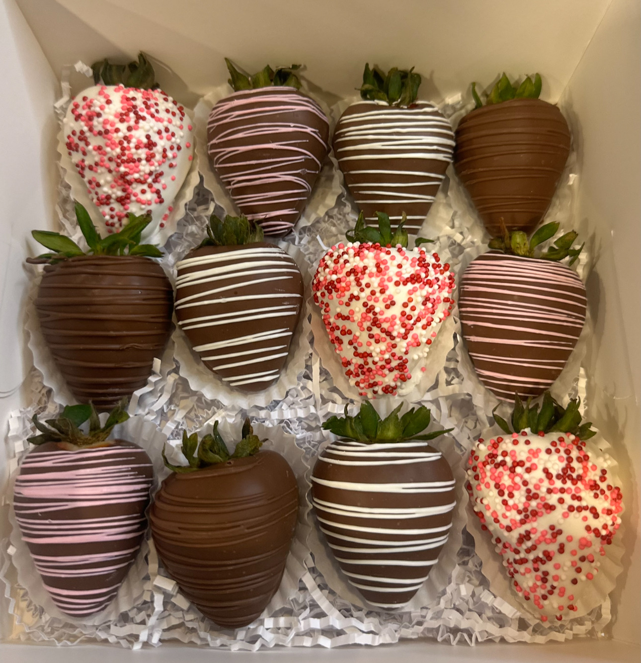 Regular Dozen Berries