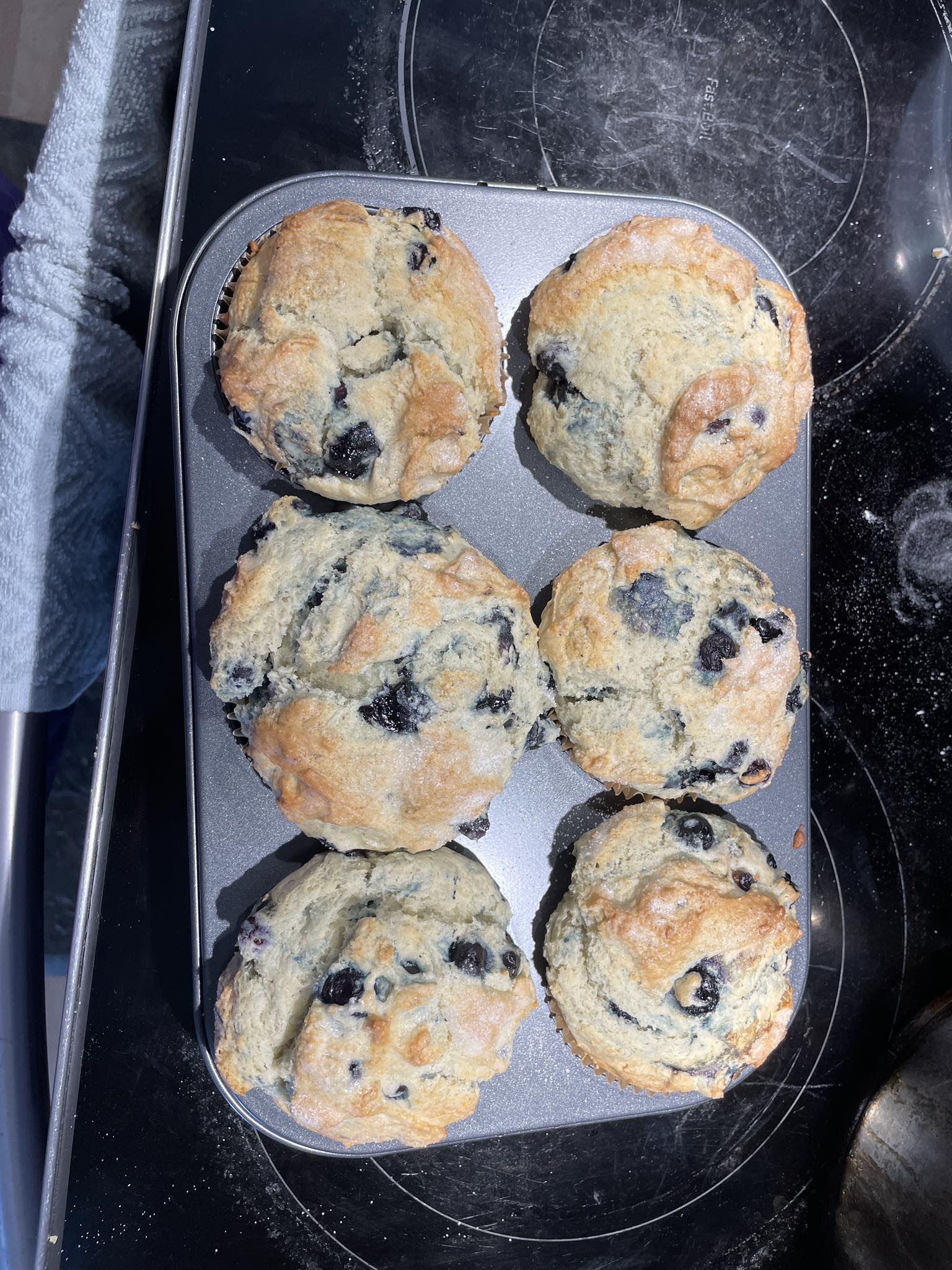 Jumbo Blueberry Muffins (4 Count)