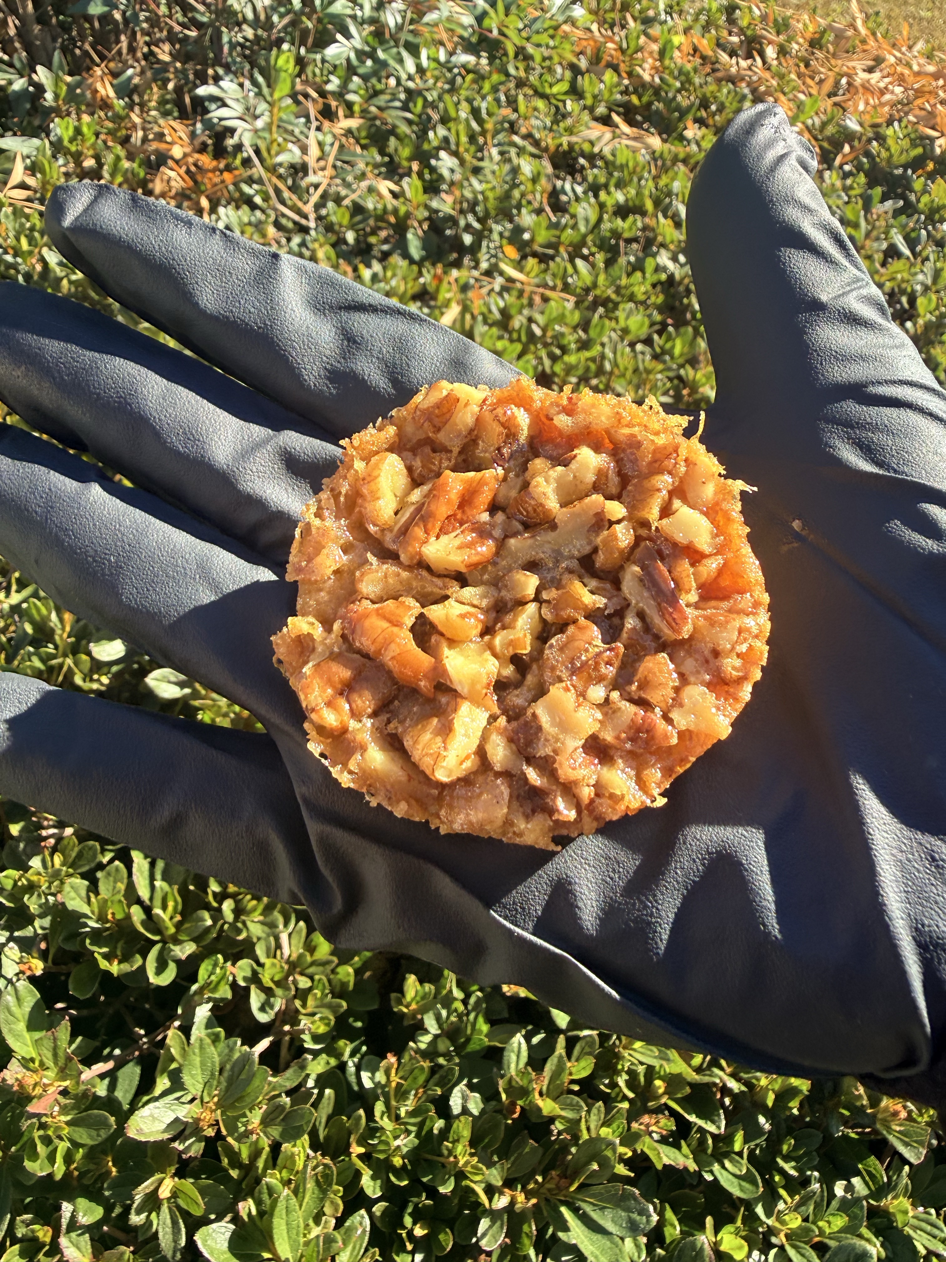 Mini Pecan Pies