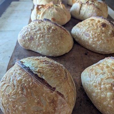 Classic Artisan Sourdough Loaf