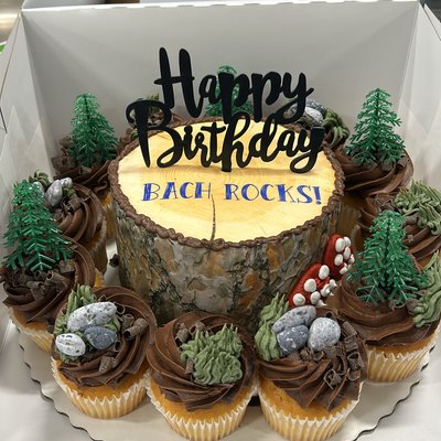 Cake + Cupcakes 