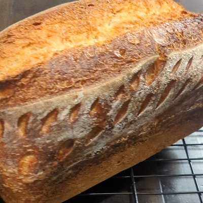 Sourdough (Plain)