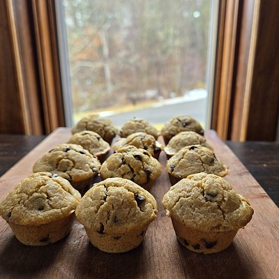 Mini Protien Muffins (1 Dozen)