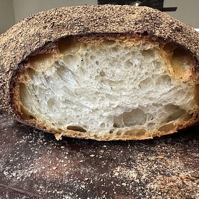 Definitely Not Ciabatta Italian Bread