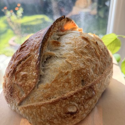Large Organic Sourdough Loaf