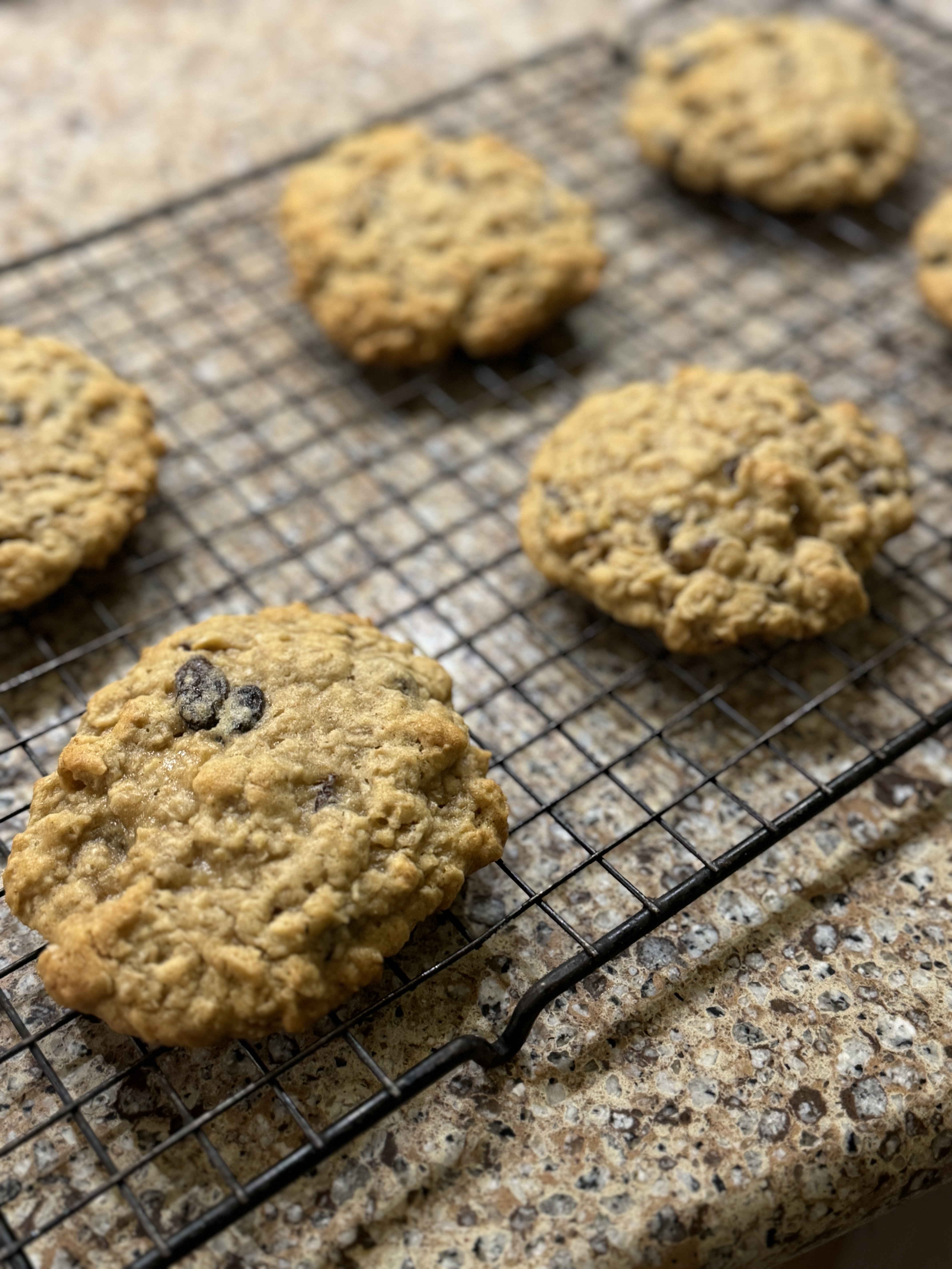 Oatmeal Raisin Cookie