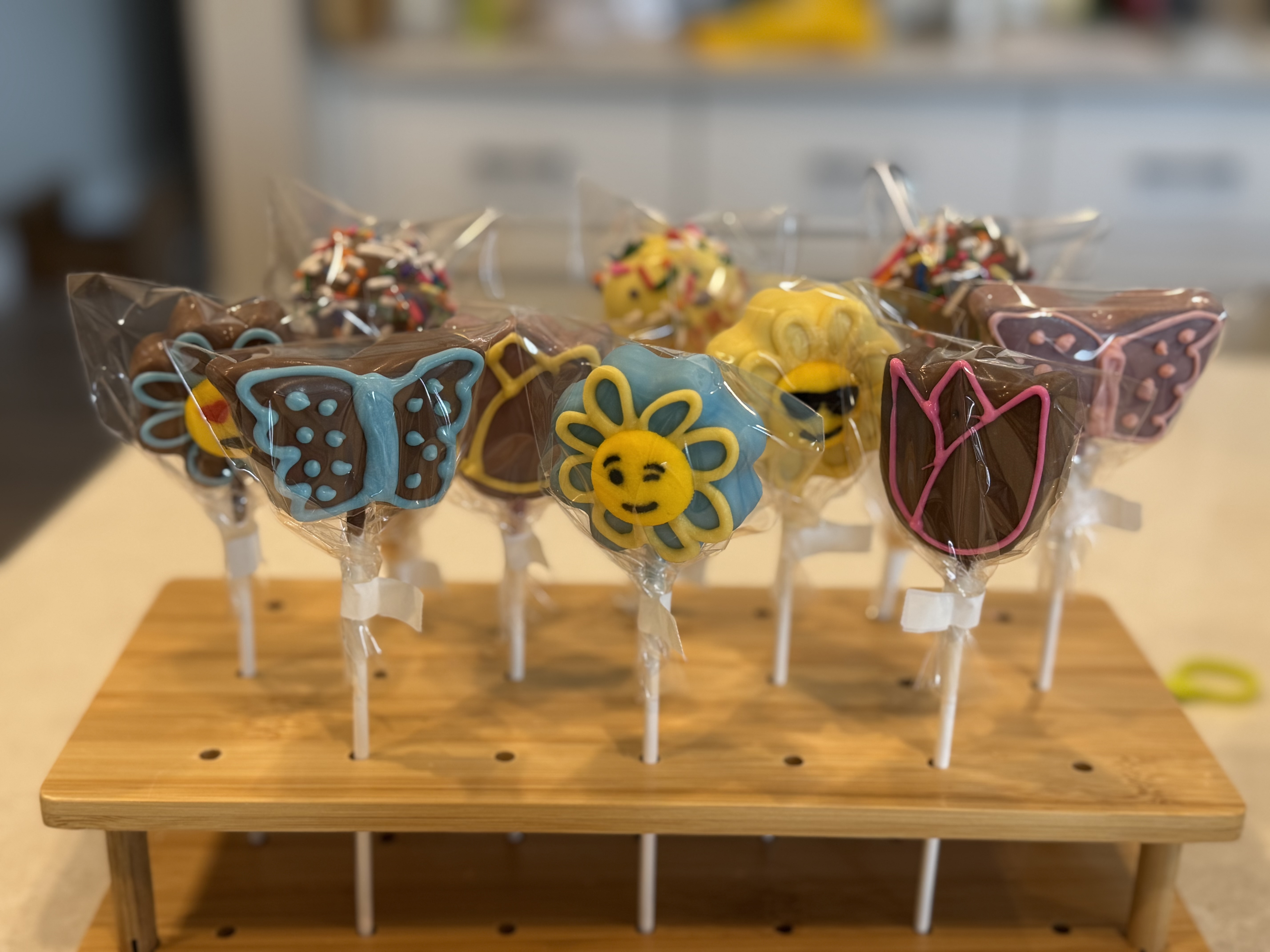 Chocolate Cake Pops (6)